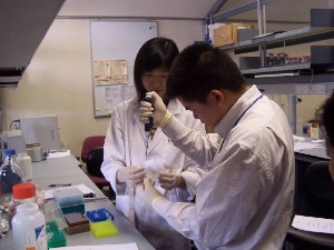 Performing DNA extraction experiment in The University of Hong Kong Performing DNA extraction experiment in The University of Hong Kong