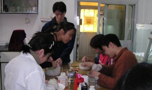 Conducting tissue culture in the laboratory Conducting tissue culture in the laboratory