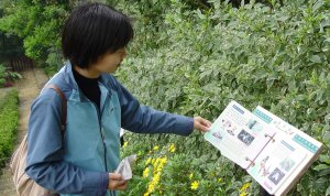 Butterfly Garden at KFBG - an impressive education resource Butterfly Garden at KFBG - an impressive education resource