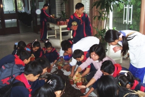 Shanghai Botanical Garden pot planting activity