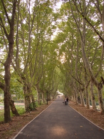 Wuhan Botanical Garden