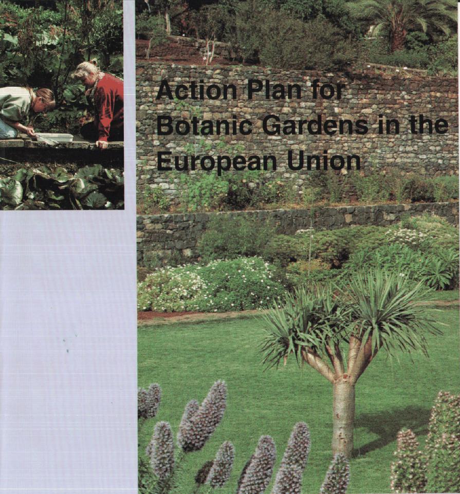 europe action plan