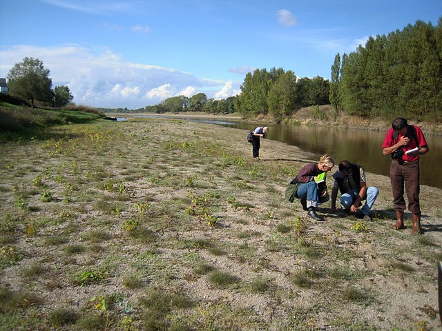 bords Loire (c) Mich&egrave;le Vanpanhuys