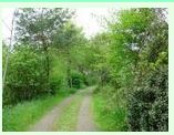 arboretum du Ch&ecirc;ne vert