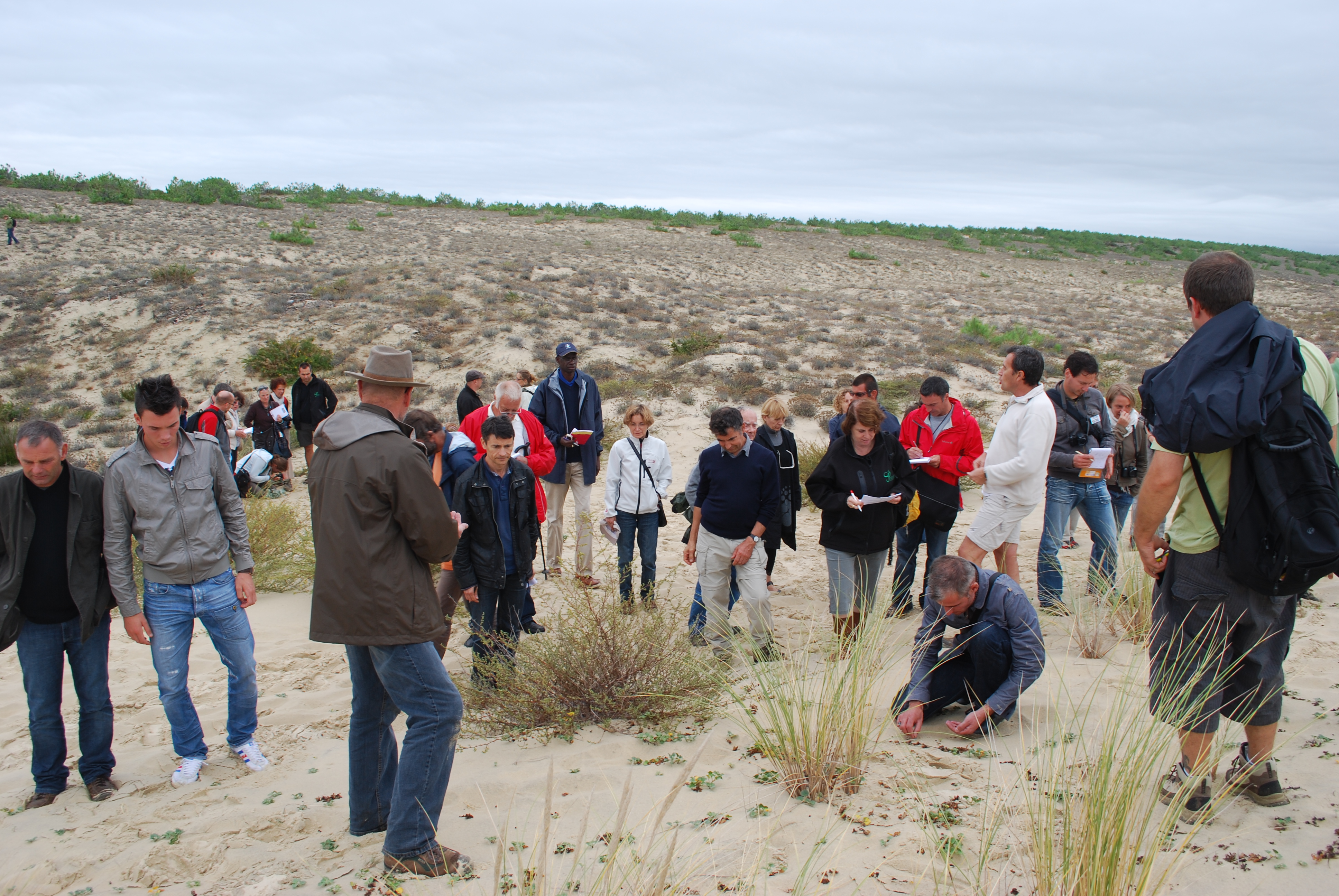jt-bordeaux-sortie-dunes jt-bordeaux-sortie-dunes