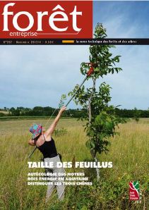 Taille et &eacute;lagage des feuillus