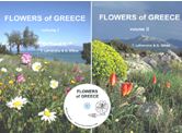 flowers of greece
