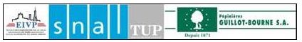 logo formation