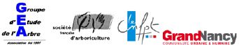 logo gd Nancy