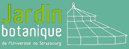 logo Strasbourg