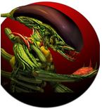 Legumes attack