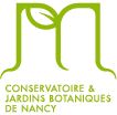 logo nancy
