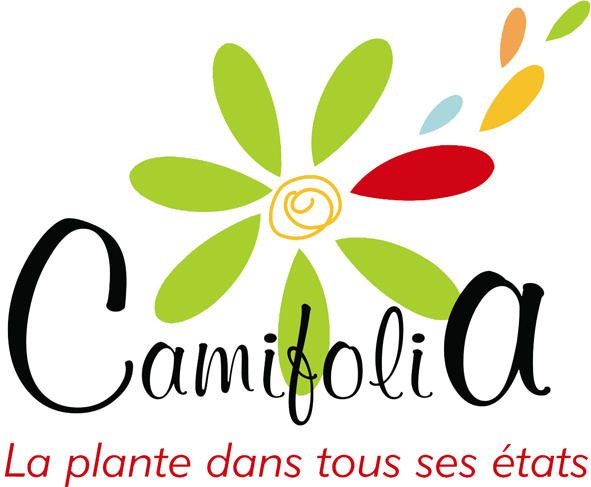 logo camifolia