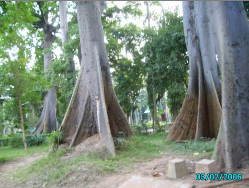 pondichery