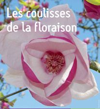SNHF Coulisees Floraison
