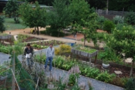 jardins marouine