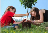 What is Plant Conservation Day?