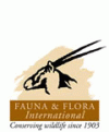 FFI FFI