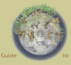 Dr arts guideto planet earth image