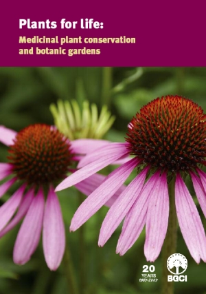 medicinalplants IMAGE