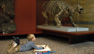 natural history museum image