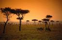 sustainable kenya image