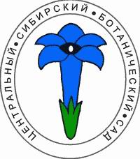 Novosib logo