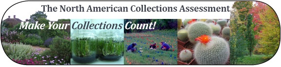 Home: Make Your Collections Count!