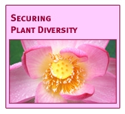 Securing Plant Diversity