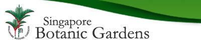 sbg logo