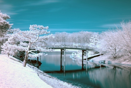 Chicago bg