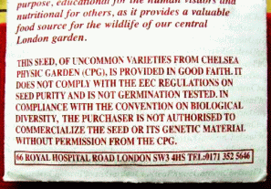 Chelsea seed packet