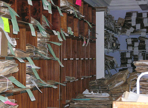 herbarium material waiting to be sent