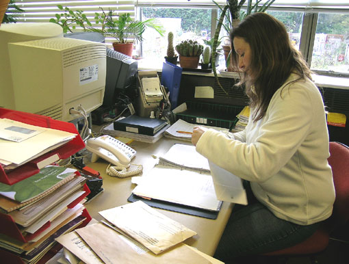 writing your policy