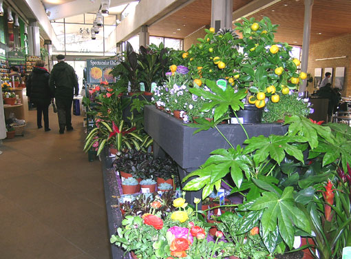 kew shop
