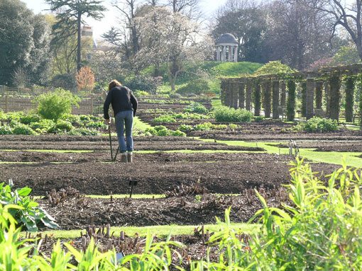 working order beds