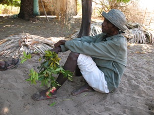 local man with medicinal plants