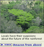 Climate change and the Amazon