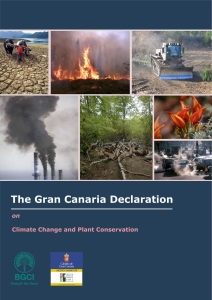 Gran Canaria Declaration