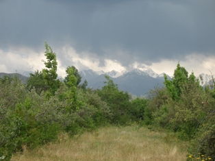 tien shan