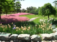 Horticultural display in Iran