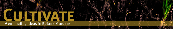 Cultivate E-News from BGCI