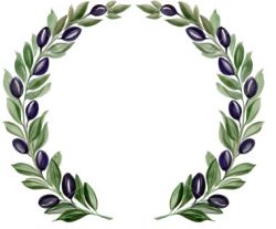 olive branch olive branch