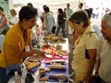 mexico education congress