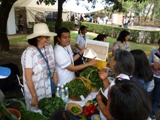 mexico education congress