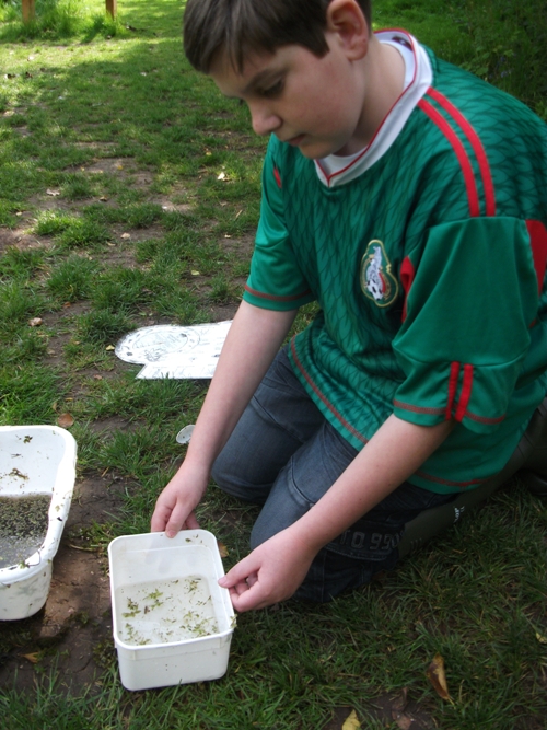 Identification of pond dipping creatures