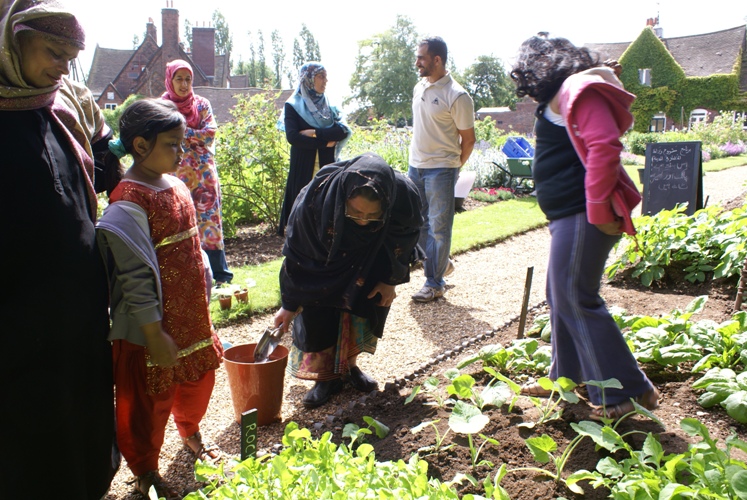 Planting out seedlings All generations