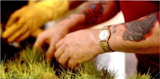 tattooed arms