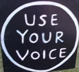use your voice