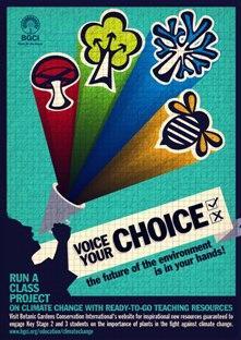 voice your choice poster